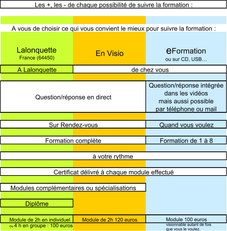 Lalonquette  France (64450) En Visio e Formation ou sur CD, USB… A Lalonquette Question/réponse intégrée  dans les vidéos  mais aussi possible  par téléphone ou mail Quand vous voulez Formation de 1 à 8 Diplôme Module de 2h en individuel  ou 4 h en groupe : 100 euros Module de 2h 120 euros Module 100 euros visionnable autant de fois  que vous le voulez. Les +, les - de chaque possibilité de suivre la formation : A vous de choisir ce qui vous convient le mieux pour suivre la formation : Modules complémentaires ou spécialisations de chez vous Question/réponse en direct Sur Rendez-vous Formation complète Certificat délivré à chaque module effectué à votre rythme